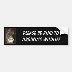 Squirrel bumper sticker, featuring "Summer" Sticker