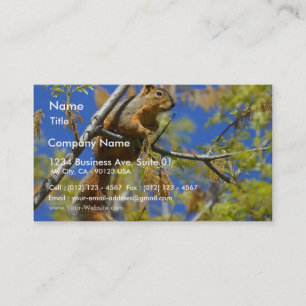 Squirrel Business Card