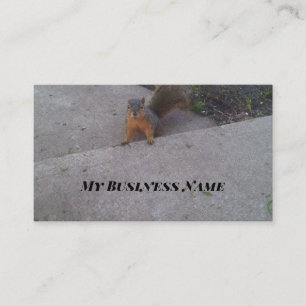 Squirrel Business Cards