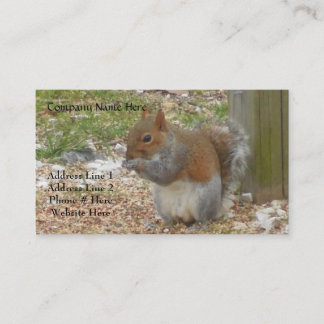 Squirrel Business Cards