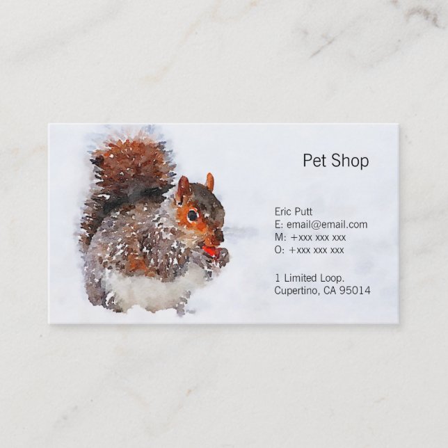 Squirrel Business Cards, 3.5" x 2.0", 100 pack Business Card (Front)