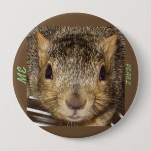 Squirrel Button
