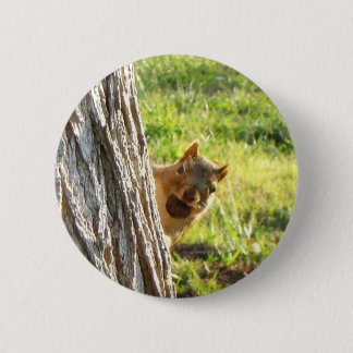 Squirrel button