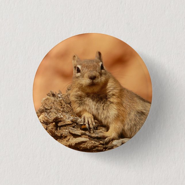 Squirrel - Button (Front)