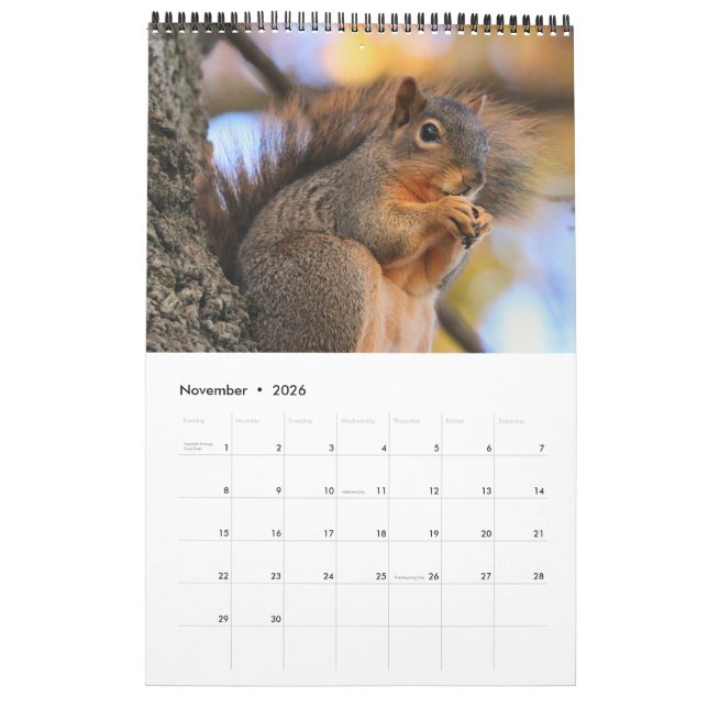 Squirrel Calendar (Nov 2026)