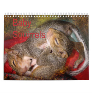 Squirrel Calendar
