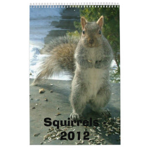 Squirrel Calendar 2012