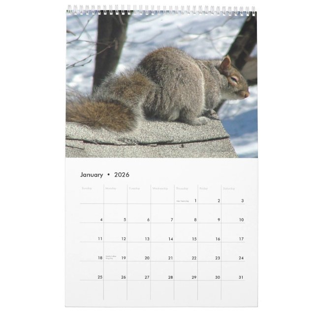 Squirrel Calendar 2013 (Jan 2026)