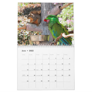 Squirrel Calendar 2022