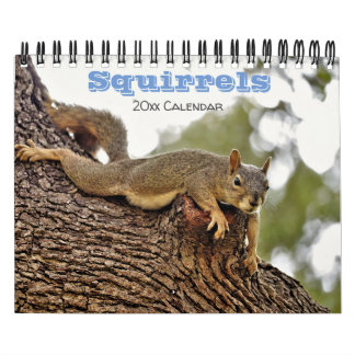 Squirrel Calendar for animal lovers or gag gift