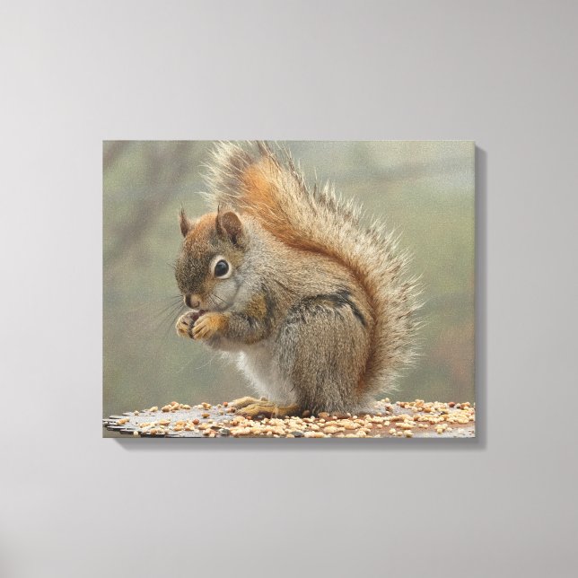 Squirrel Canvas Print (Front)