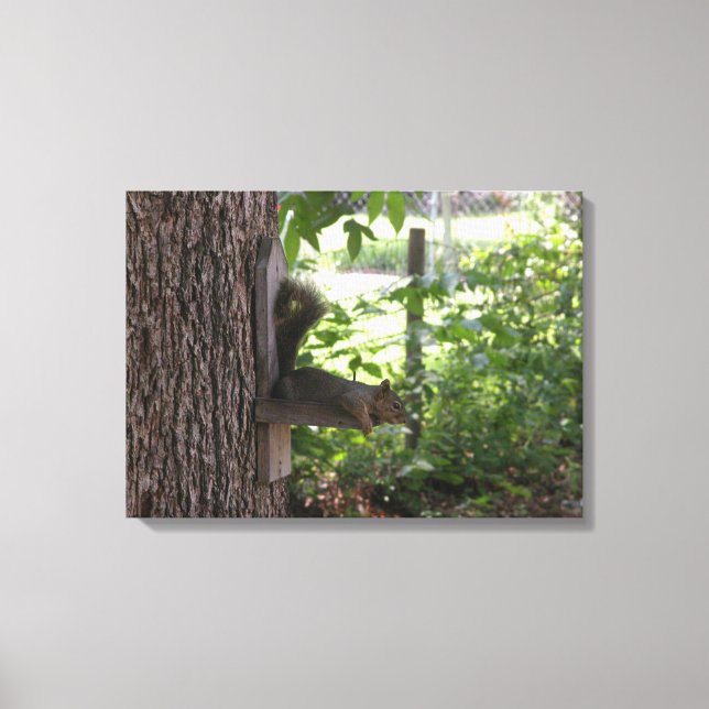 Squirrel Canvas Print (Front)