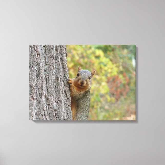 Squirrel canvas print (Front)