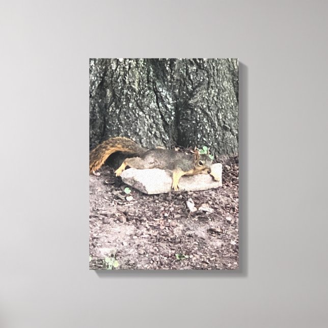 Squirrel Canvas Print (Front)