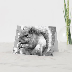 Squirrel Card