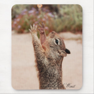 Squirrel catch 2 mouse pad