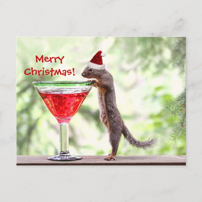 Squirrel Celebrating Christmas Holiday Postcard (Front)