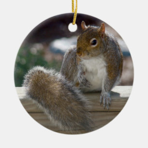 Squirrel Ceramic Ornament