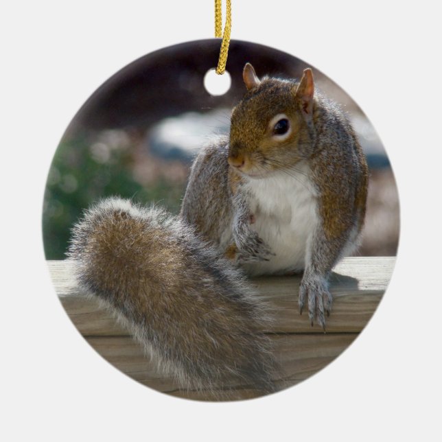 Squirrel Ceramic Ornament (Front)