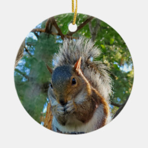 Squirrel Ceramic Ornament