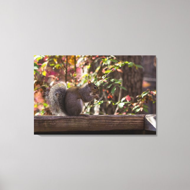 Squirrel Chow Time Canvas Print (Front)