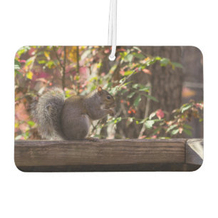 Squirrel Chow Time Car Air Freshener