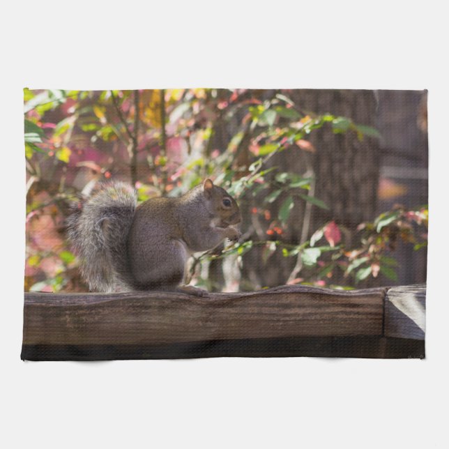 Squirrel Chow Time Kitchen Towel (Horizontal)