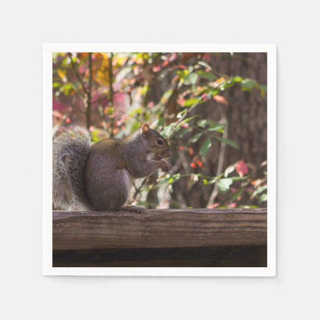 Squirrel Chow Time Napkin (Front)