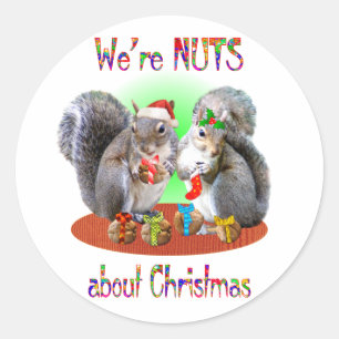 Squirrel Christmas Nuts Classic Round Sticker
