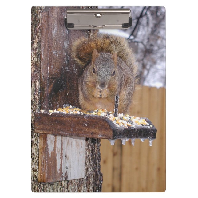 Squirrel Clipboard (Front)