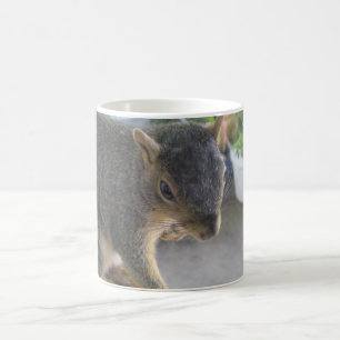 Squirrel Close Up Mug