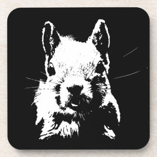 Squirrel Coaster
