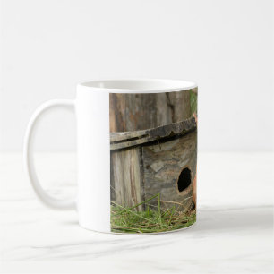 Squirrel coffee mug