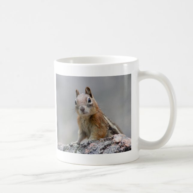 squirrel coffee mug (Right)