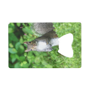 Squirrel Credit Card Bottle Opener