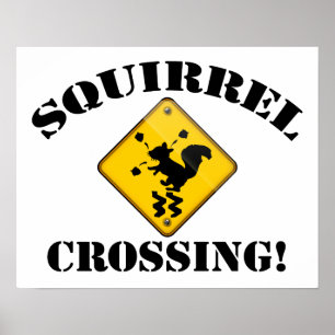 Squirrel Crossing Road Sign