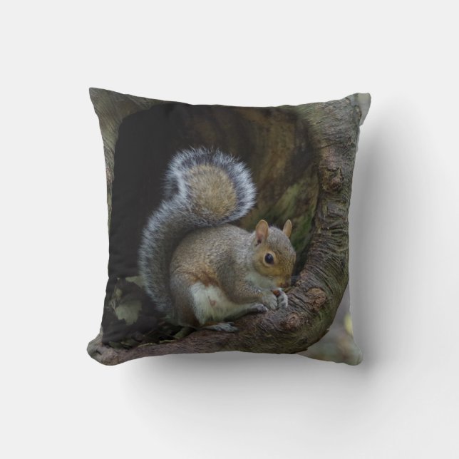 Squirrel Cushion (Front)