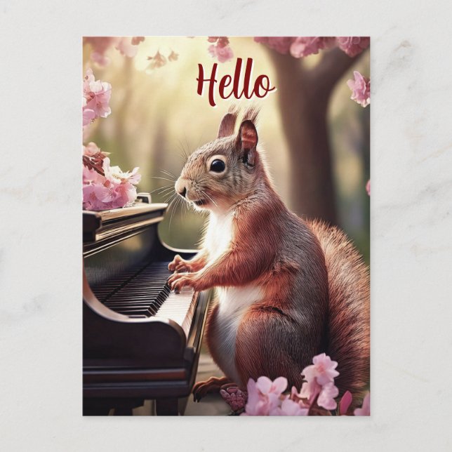 Squirrel Cute Animal Playing Piano Hello Postcard (Front)