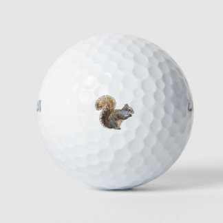 Squirrel Cutie Golf Balls