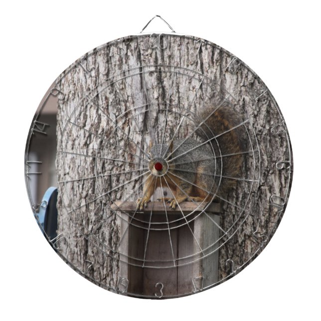 Squirrel Dartboard (Front)