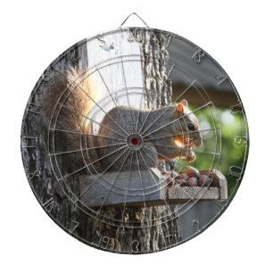 Squirrel Dartboards