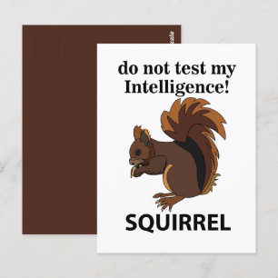 Squirrel Do Not Test My Intelligence Squirrel Postcard