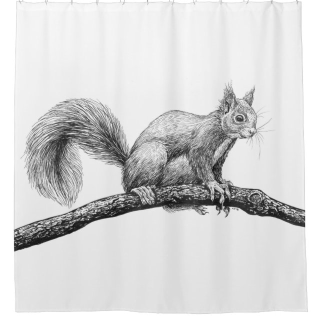 Squirrel drawing (Front)