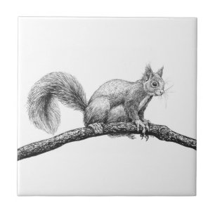 Squirrel drawing tile