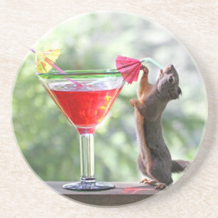 Squirrel Drinking a Cocktail at Happy Hour Coaster