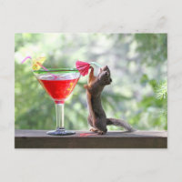 Squirrel Drinking a Cocktail at Happy Hour