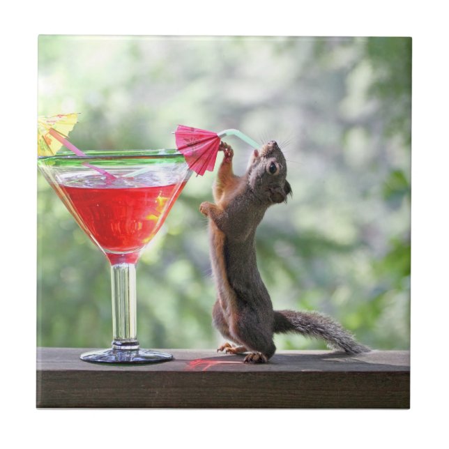 Squirrel Drinking a Cocktail at Happy Hour Tile (Front)