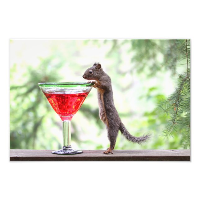Squirrel Drinking a Cocktail Photo Print (Front)