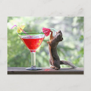 Squirrel Drinking: Cocktail at Happy Hour Postcard