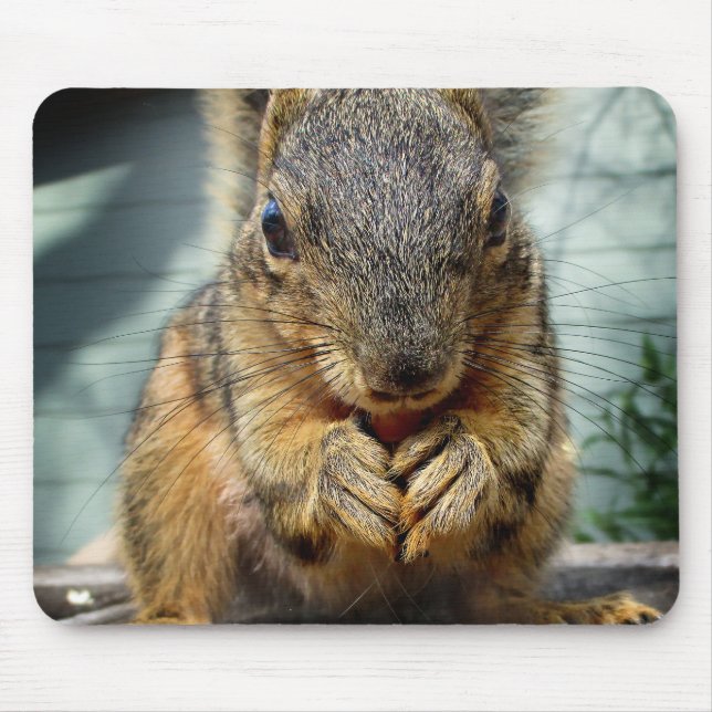 Squirrel Eating 1 Mouse Pad (Front)